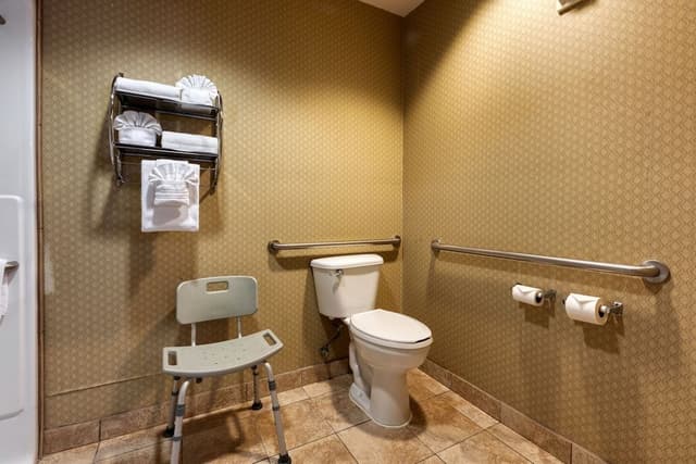 Room, 1 King Bed, Accessible, Non Smoking