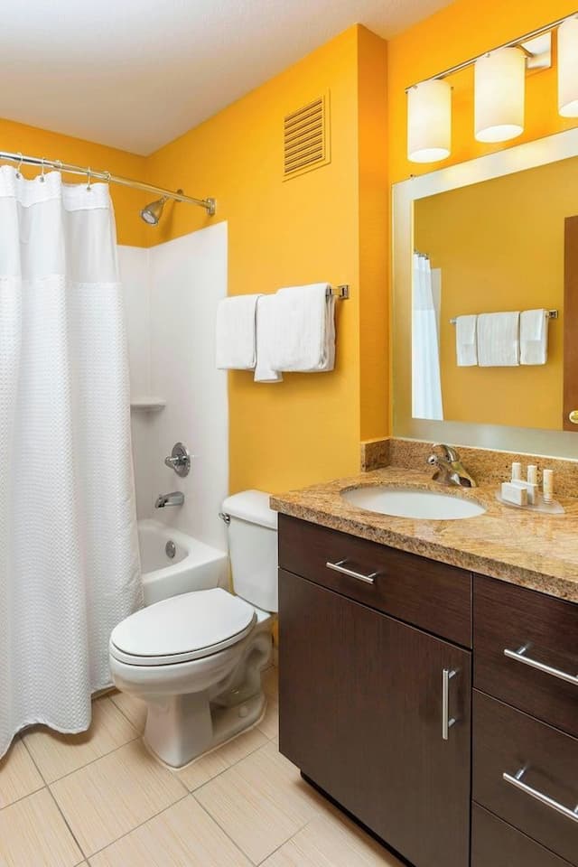 Studio, 1 Queen Bed with Sofa bed (Mobility Accessible, Roll-In Shower)