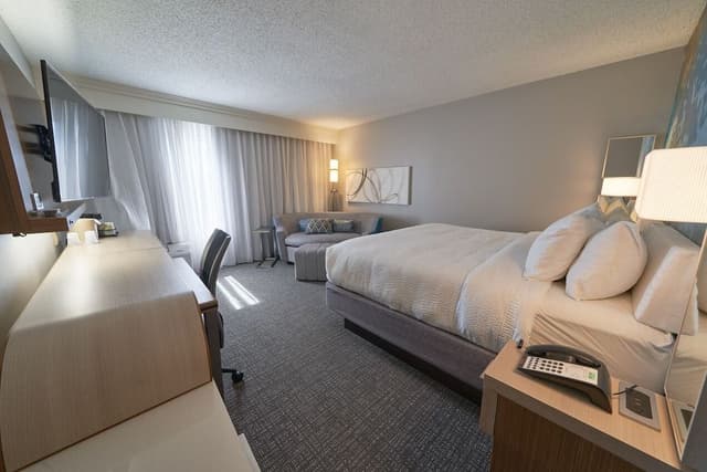 Room, 1 King Bed with Sofa bed