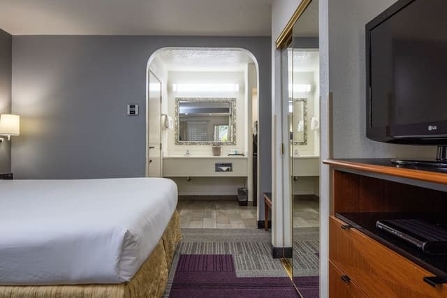 Deluxe Room, 1 King Bed with Sofa bed