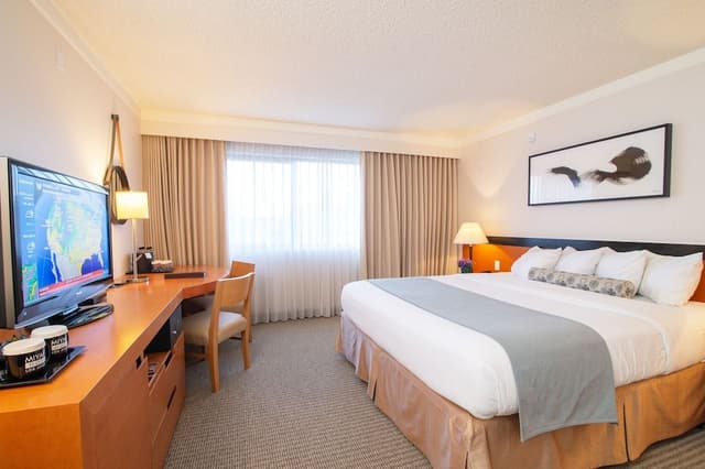 Superior Room, 1 King Bed (Superior King)