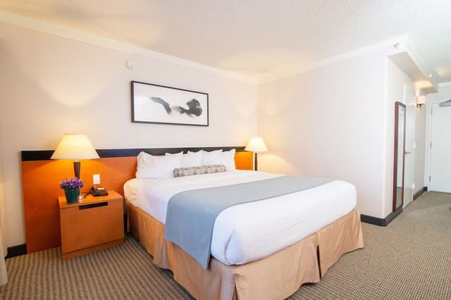 Superior Room, 1 King Bed (Superior King)