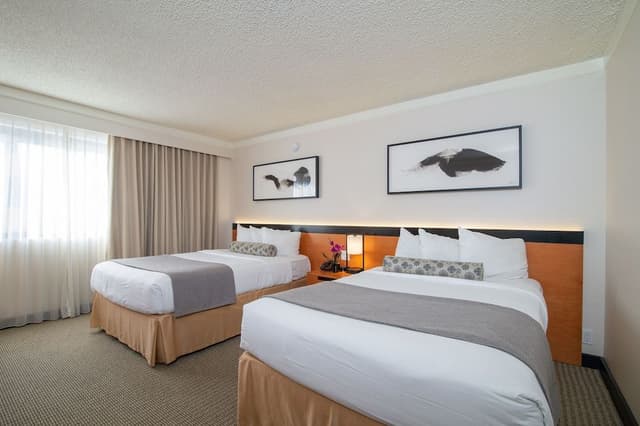 Superior Room, 2 Double Beds (Superior Room with 2 Double Beds)