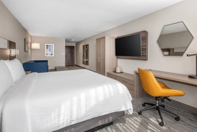 Suite, 1 King Bed with Sofa bed (with Living Area)