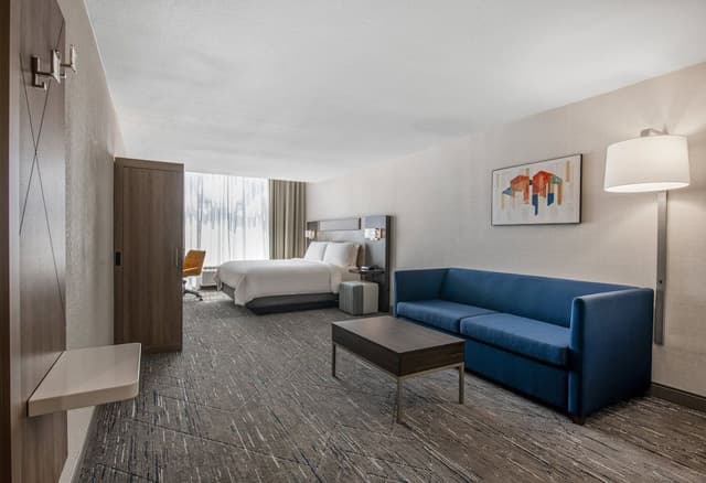 Suite, 1 King Bed with Sofa bed (with Living Area)