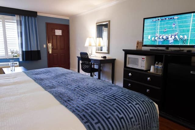 Room, 1 King Bed