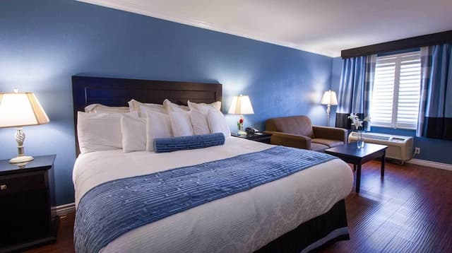 Room, 1 King Bed