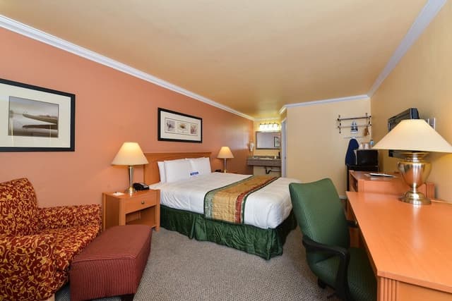 Room, 1 King Bed, Non Smoking