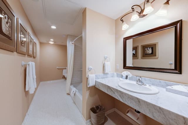 Junior Studio Suite, 1 Queen Bed with Sofa bed, Accessible, City View