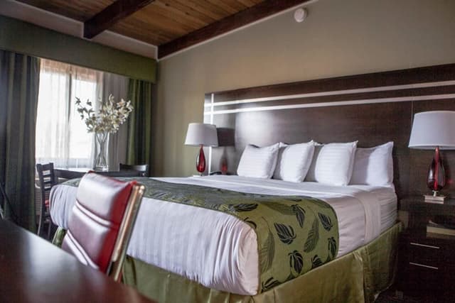 Standard Room, 1 King Bed