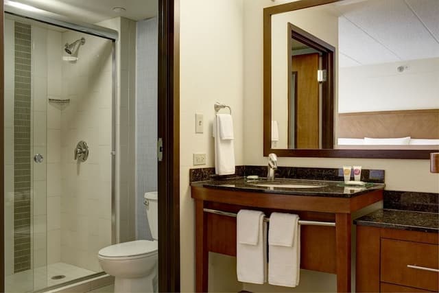 Room, 1 King Bed (Shower)