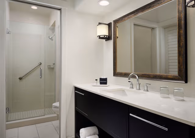 Luxury Suite, 1 King Bed, Mobility Accessible (Luxury)