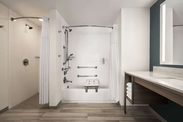 1 KNG 1 BDRM STE MOBILITY ACCESS W/RI SHWR