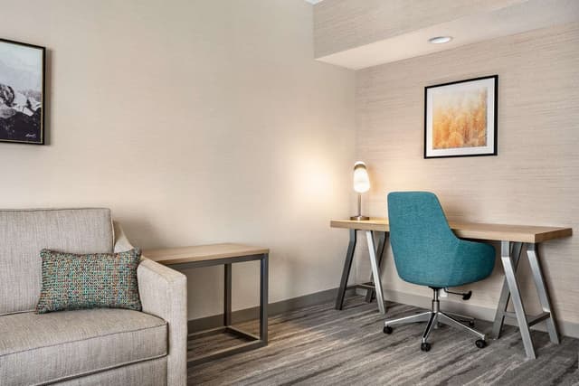 1 KNG 1 BDRM STE MOBILITY ACCESS W/RI SHWR