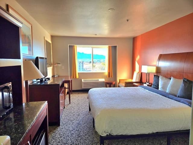 Classic Room, 1 King Bed, Non Smoking