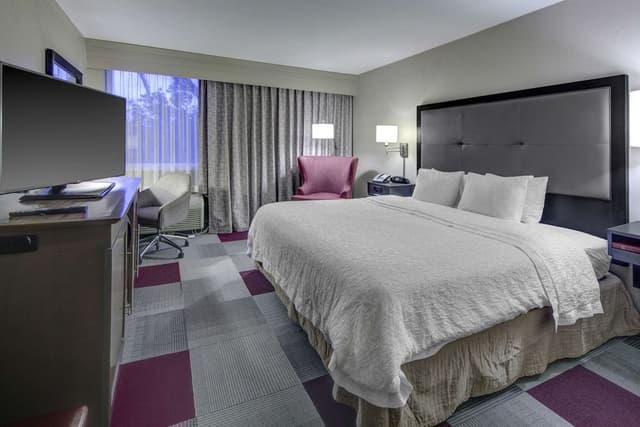 Room, 1 King Bed, Accessible, Non Smoking