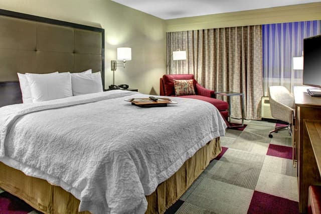 1 KING BED DELUXE ROOM NONSMOKING