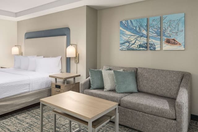 Studio Suite, 1 King Bed, Non Smoking