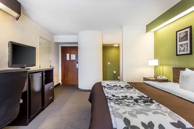 Standard Room, 1 King Bed, Non Smoking