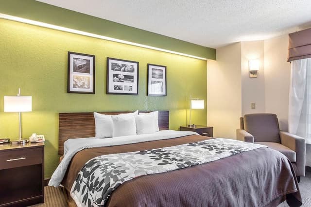 Standard Room, 1 King Bed, Non Smoking