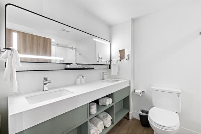 Deluxe King Suite