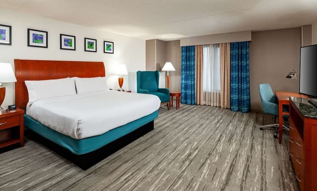 Room, 1 King Bed, Non Smoking