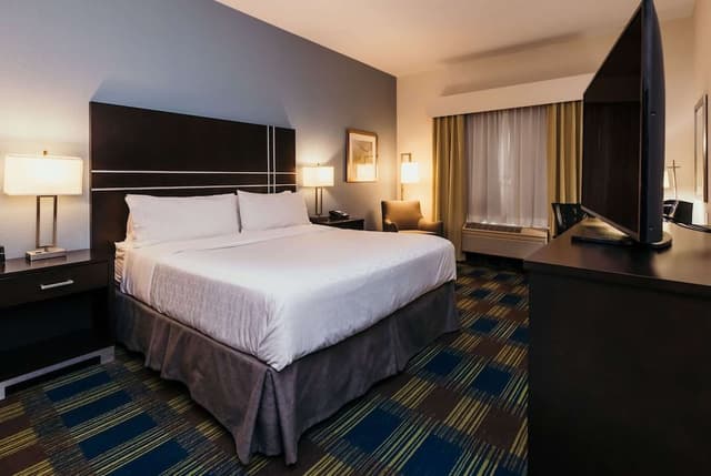 Room, 1 King Bed, Non Smoking