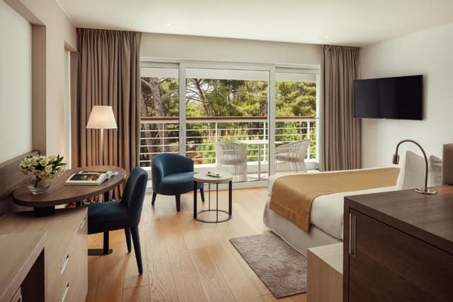 Superior Double Room with Balcony - Park Side