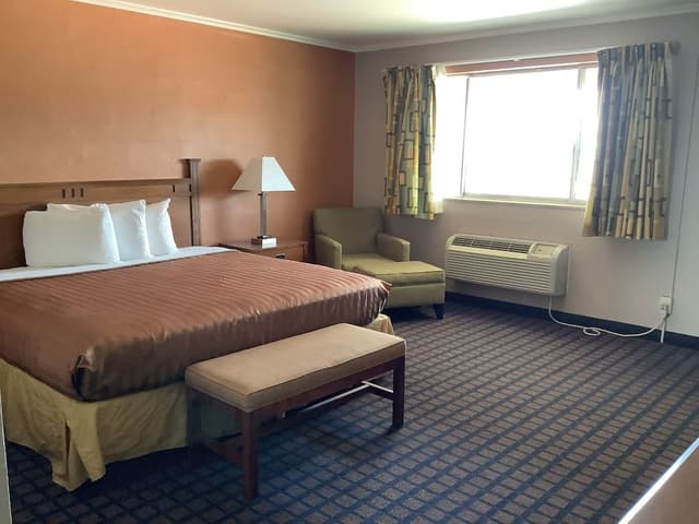 1 bedroom King Apt (DKAS)