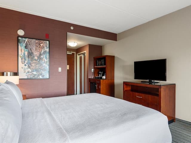 Evolution one king room