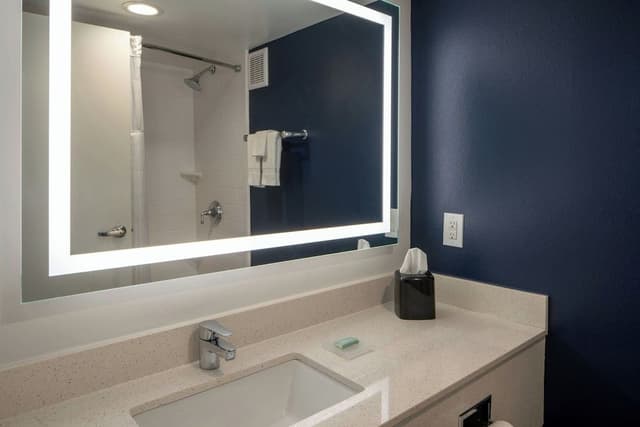 Standard Room, 1 King Bed (Mobility Accessible, Roll-In Shower)
