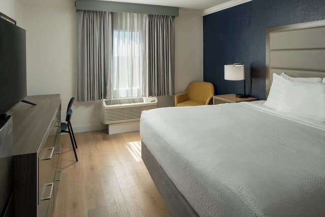 Standard Room, 1 King Bed (Mobility Accessible, Roll-In Shower)