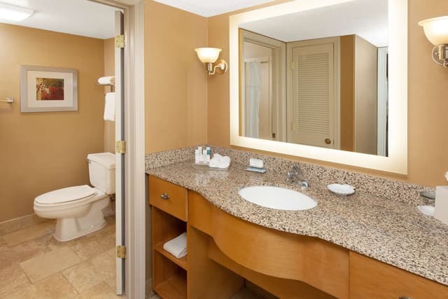 1 KING BED 1 BEDROOM FIREPLACE SUITE NONSMOK