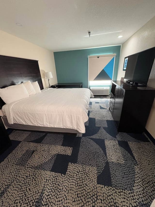 Room, 1 King Bed, Mobility Accessible, Non Smoking (Bathtub W/grab Bars)