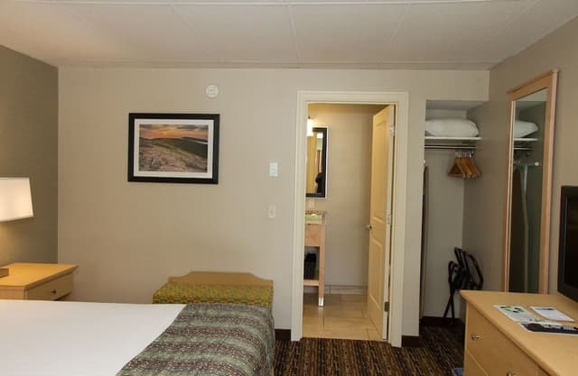 Deluxe Room, 1 King Bed, Non Smoking