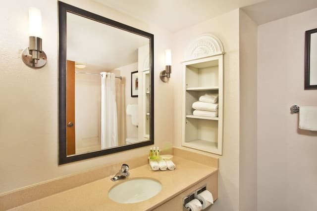 Suite, 1 King Bed with Sofa bed