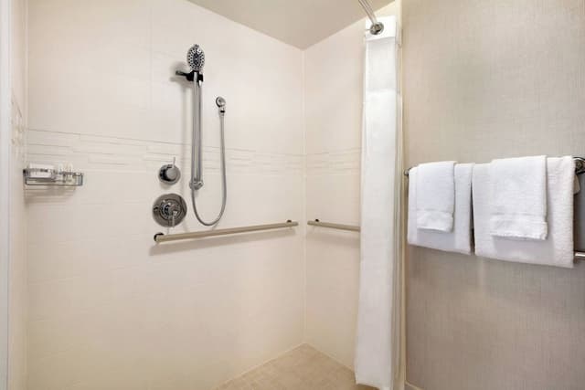 Suite, 1 Bedroom, City View (Mobility/Hearing Access, Roll-In Shwr)