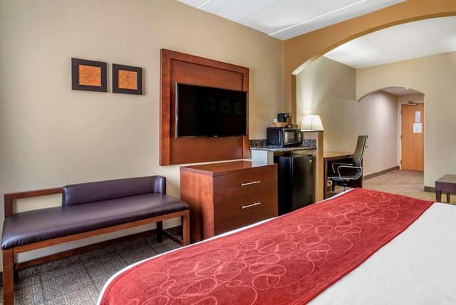 Suite, 1 King Bed, Non Smoking (No Pets)