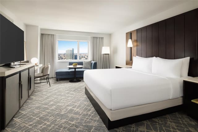 1 KING BED GUESTROOM