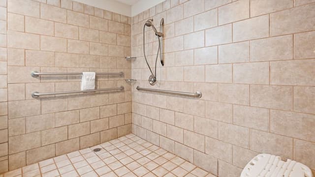 Standard Room, 1 King Bed, Accessible, Non Smoking (Pet Friendly)