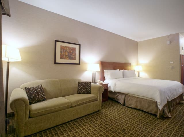 Standard Room, 1 King Bed with Sofa bed