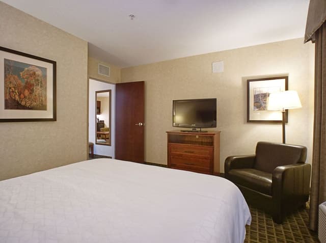 Suite, 1 Queen Bed with Sofa bed