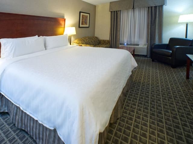 Standard Room, 1 King Bed with Sofa bed