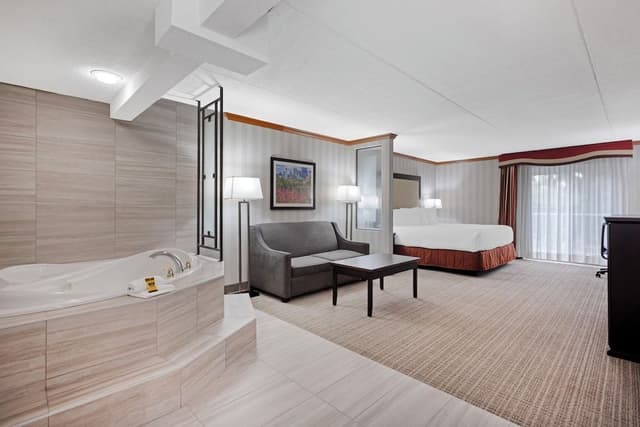 Standard Room, 1 King Bed, Non Smoking, Jetted Tub