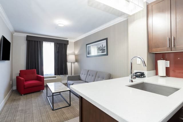 Standard Suite, 1 King Bed, Kitchen (Washer Dryer)
