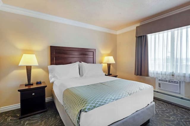 Standard Apartment, Multiple Beds, Refrigerator & Microwave (Pet Friendly)