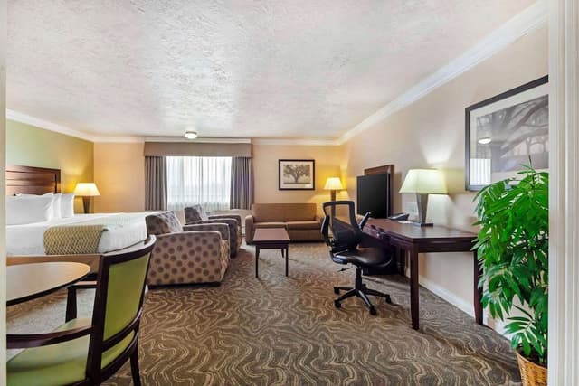 Suite, 1 King Bed, Non Smoking, Refrigerator & Microwave (No Pets in room type)