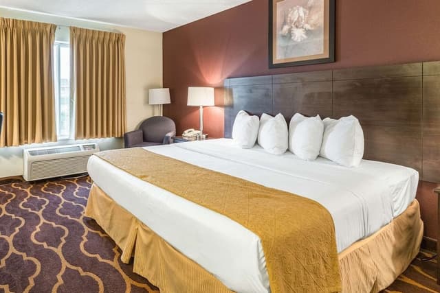 Standard Room, 1 King Bed, Non Smoking