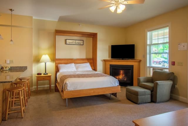 Deluxe Studio, Queen Wall Bed and Queen Sleep Sofa