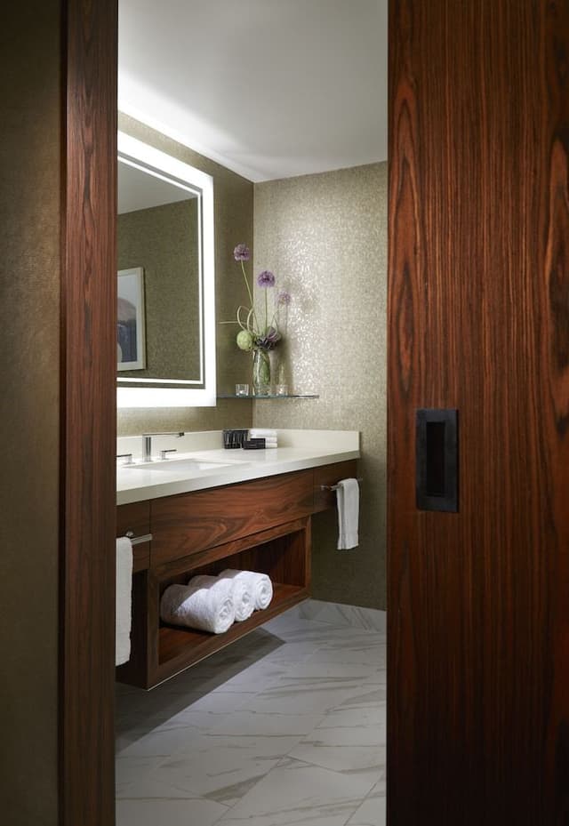 South Tower Ocean Deluxe Accessible Roll in Shower King